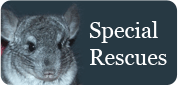 Special Rescues